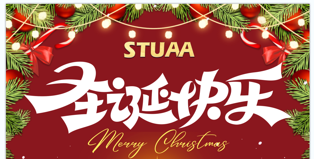 2024斯图祝您圣诞快乐!